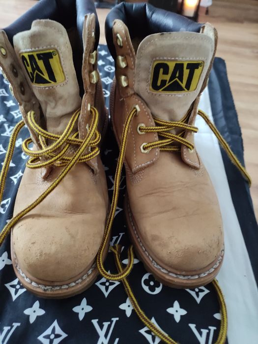 Trapery Caterpillar 38