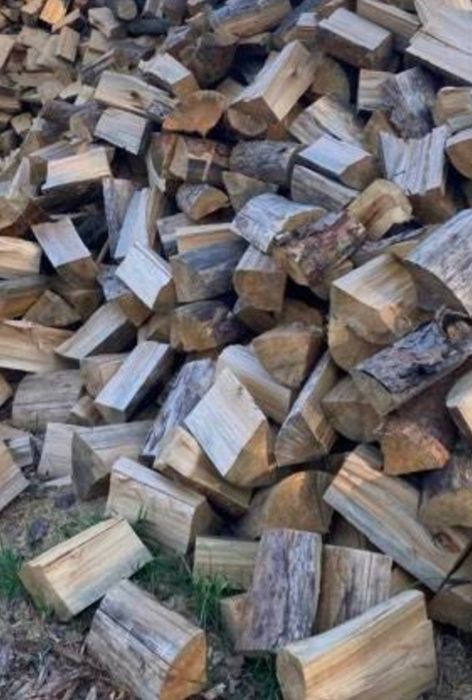 Drewno opalowe suche