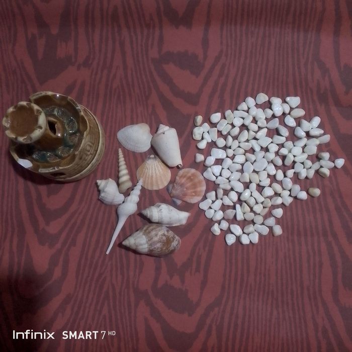 Продаю аквариум на 22 литра