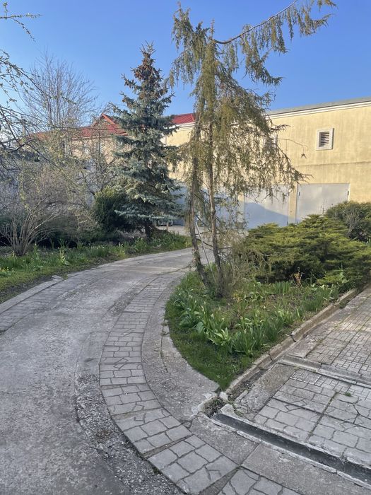 Продається особняк в центрі міста.