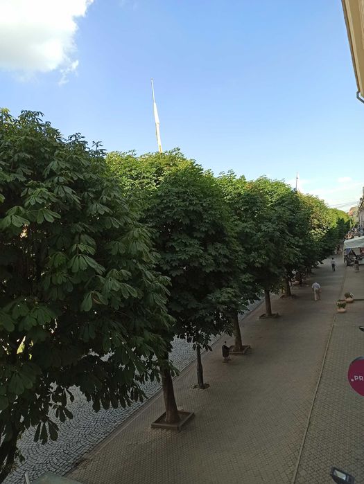 Акція! 6 місць! Апартаменти в стилі "Французький шик" біля Ратуші