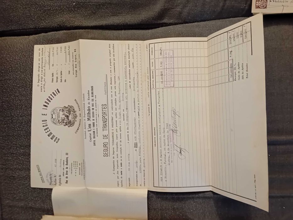 Lote de documentos antigos