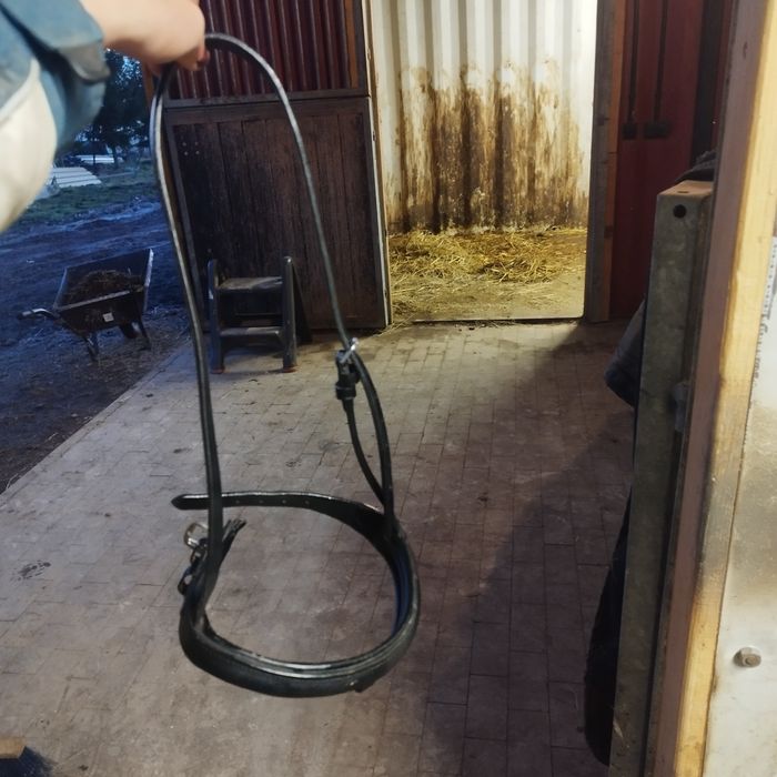 Nachrapnik dla konia pony