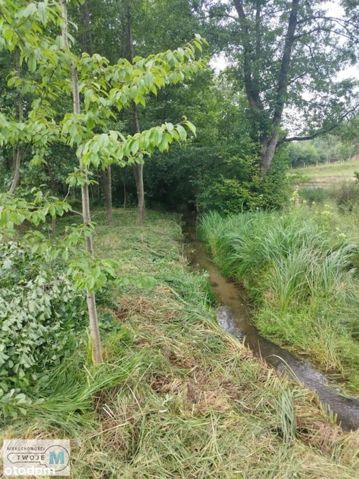 Działka budowlana ze strumykiem