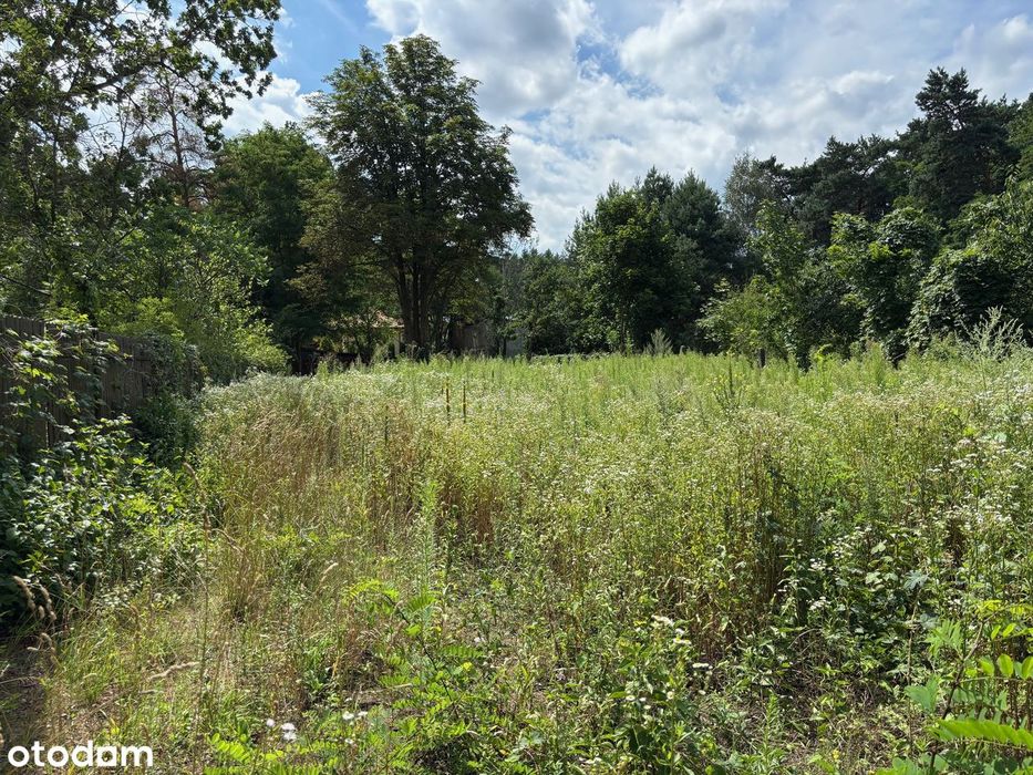 Działka budowlana Izabelin, wszystkie media