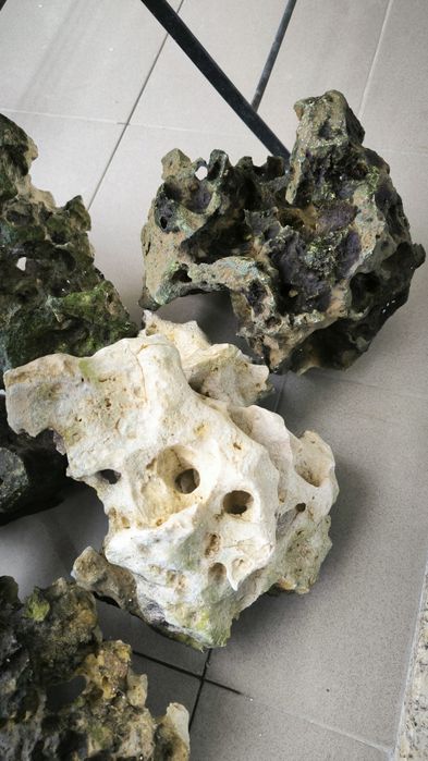 Vendo Rocha Sansibar