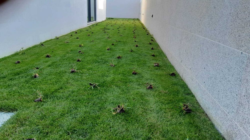 JL Jardins serviços de jardinagem