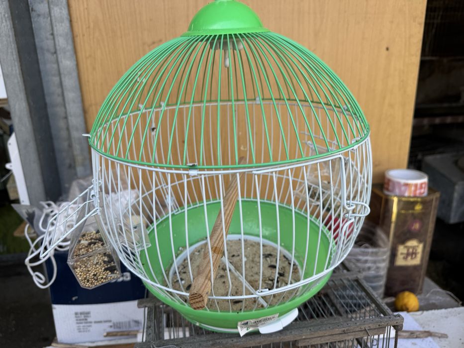 Gaiola verde / branca