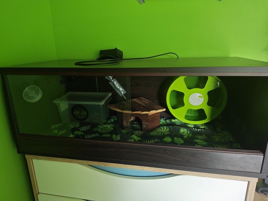 Terrarium dla jeża