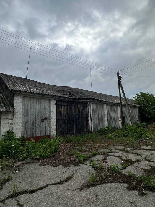 Продаж частини колишнього колгоспного двору, с. Олишівка