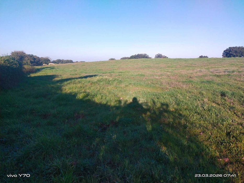 Magnífico monte/herdade, 25 hectares de pura natureza, ideal para quem procura tranquilidade/investimento