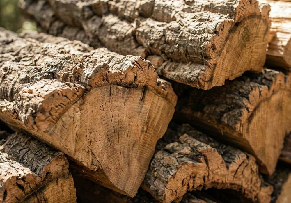 Lenha de Qualidade à Carrada - Covilhã, Fundão, Castelo Branco