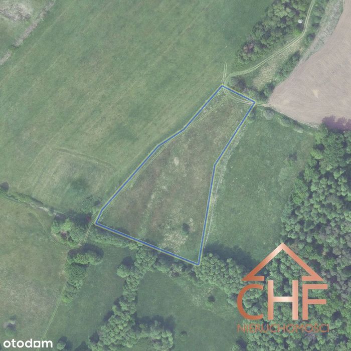 Działka rolna na sprzedaż – Przytok