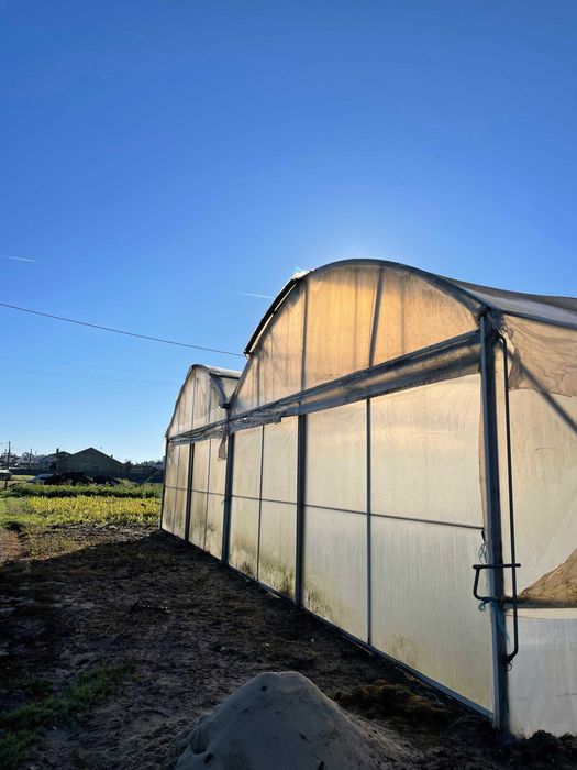 Estufa agrícola 16x60m