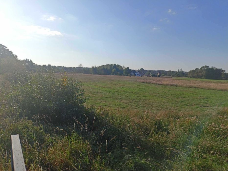 Działka z warunkami zabudowy. Małdaniec k. Szczytna - Widok 3