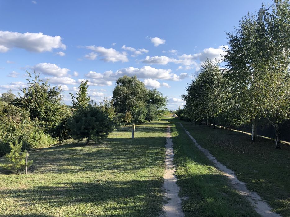 Продам земельный участок с.Леточки