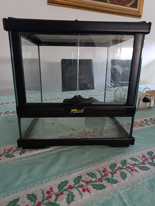 Animais terrários