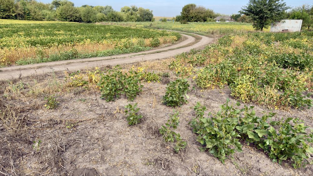 Продам земельну ділянку 17,33 сотки біля водойми в с.Шибин. Можлива зміна під забудову та обмін.