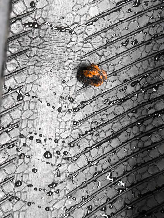 Opony Zimowe 175/65R15 Dębica Frigo 2