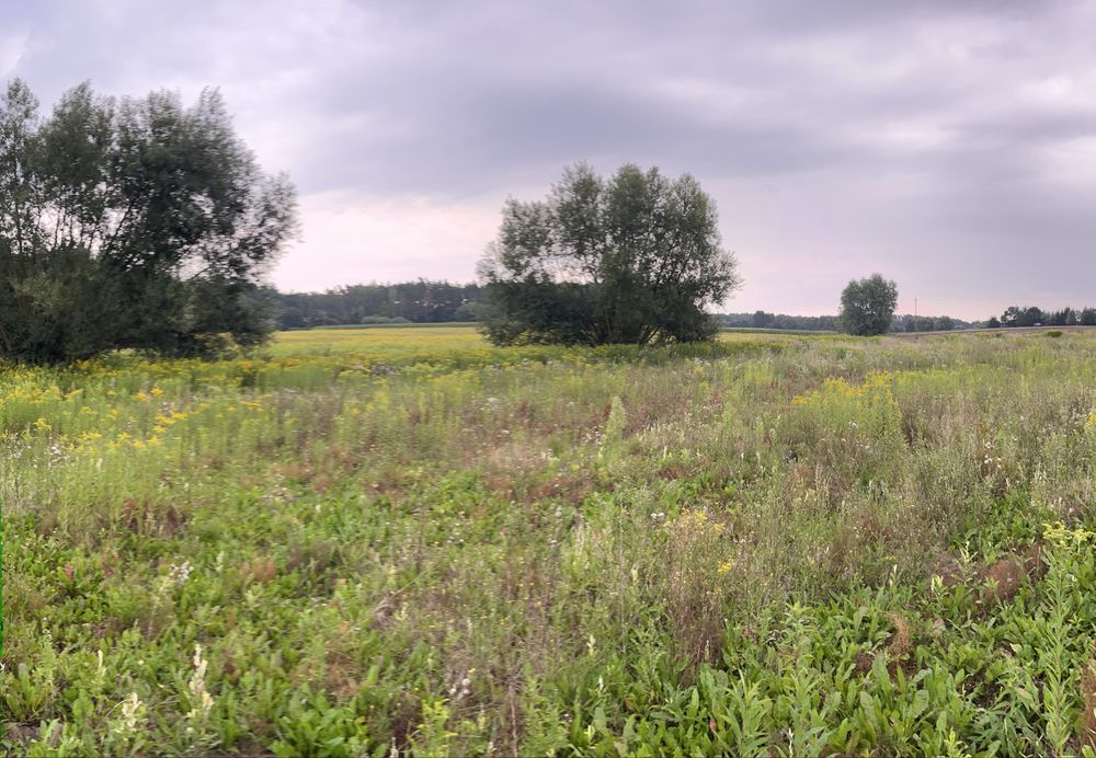 Sprzedam dzialke - Widok 2