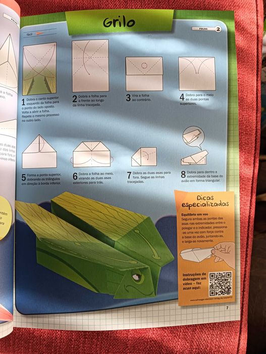 Aviões de Papel 19 instruções e 30 modelos prontos a dobrar