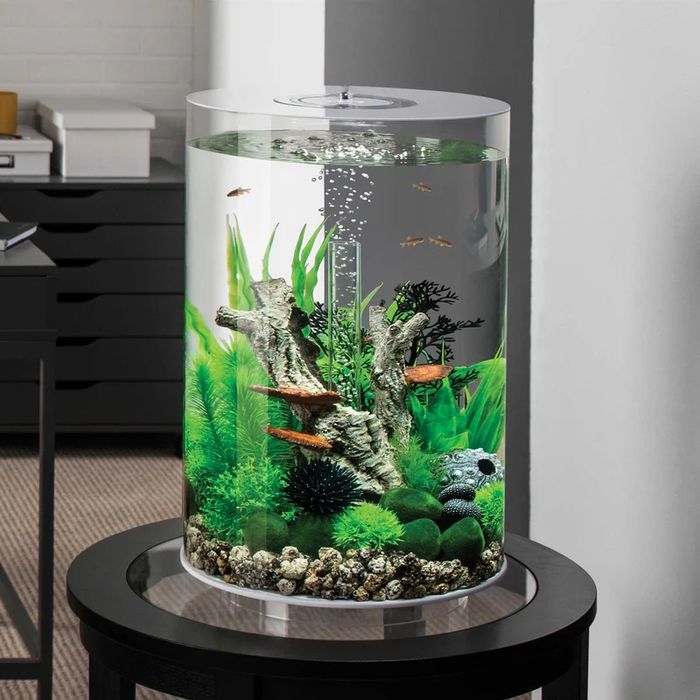 Aquario Biorb Tube 30L