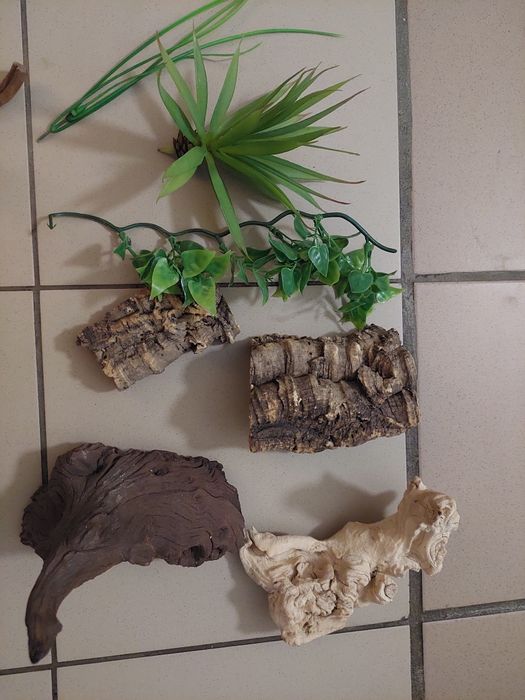 Akcesoria do terrariumm gratis małe poidełko