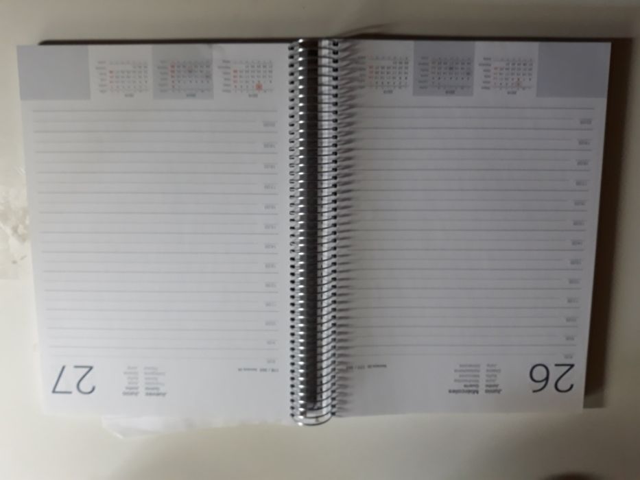 Agenda diária 2019 argolas A4