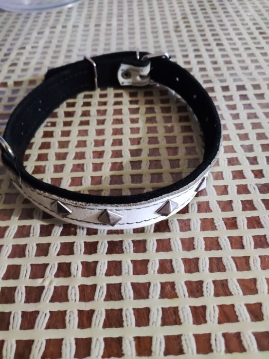 Ремінець , рулетка рожева 5 м