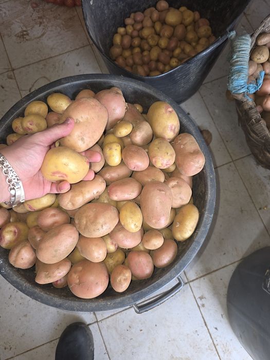 Venda batata nova 20kg por apenas 14€ -0,70€/ o Quilo - Avó Mimi - Castelo de Paiva -Telf:911588868