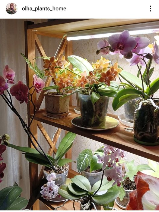 Фіто світильник Samsung LM281b+Pro – 20 ватт