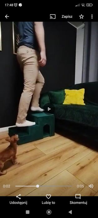 Schodki dla psa, buda tapicerowana DIY