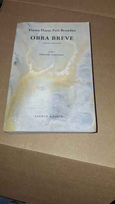 Livro Obra Breve Poesia Reunida Fiama Hasse Pais Brandão 1ª edição