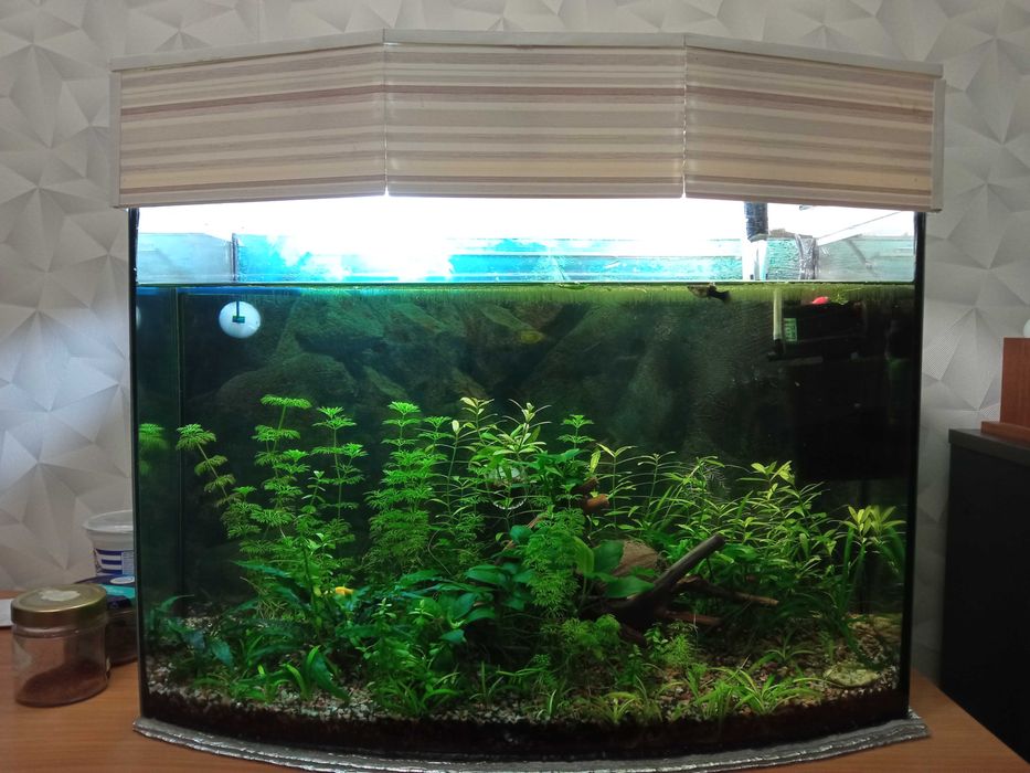 Акваріум панорамний
