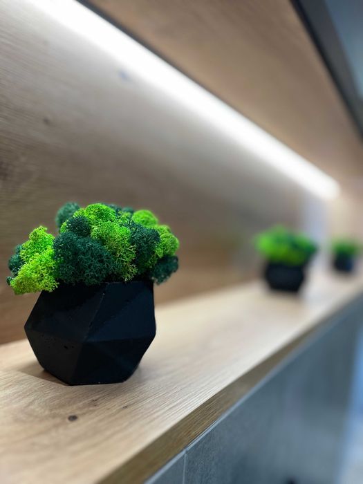 Подобова оренда біля Форуму(з 1 березня)