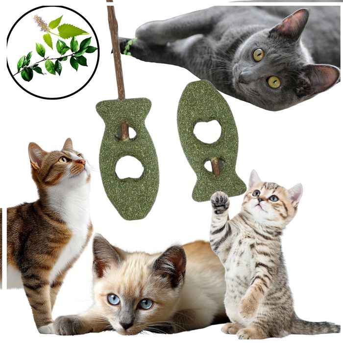 Rybka Matatabi dla Kota - Naturalna Zabawka dla Kotka - 2 SZTUKI