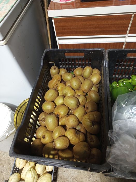 Kiwis kiwis kiwis