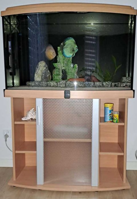 Akwarium z nową szafką