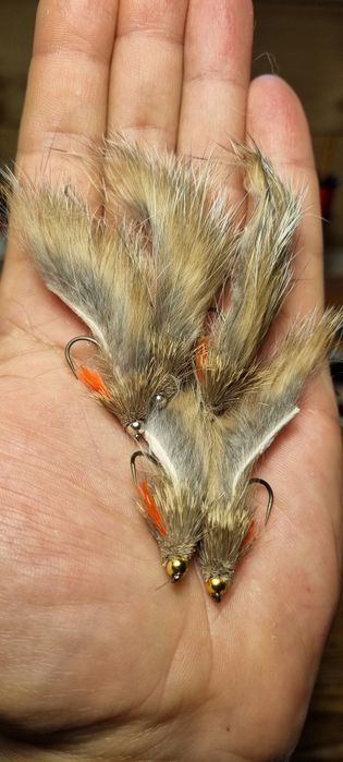 Zonker,strimer,wędkarstwo muchowe ,pstrąg,kleń,fly fishing