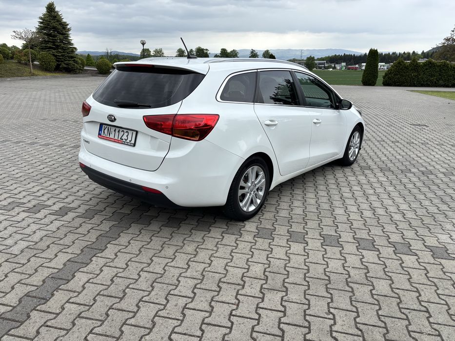 Wynajem samochodów osobowych