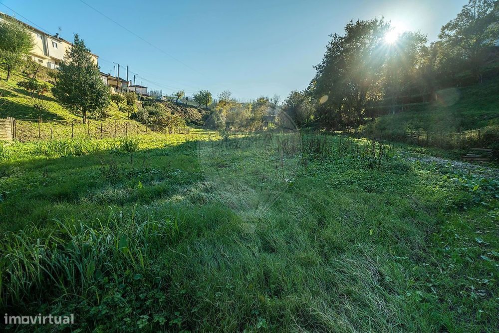 Terreno  para venda — Macinhata do Vouga, Aveiro