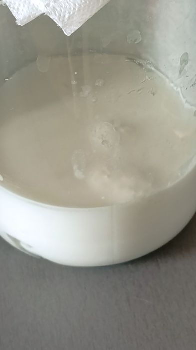 Grzybek Tybetanski probiotyk naturalny