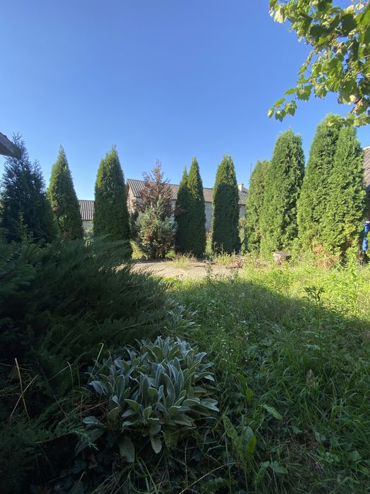 Продам будинок у передмісті Виноградів