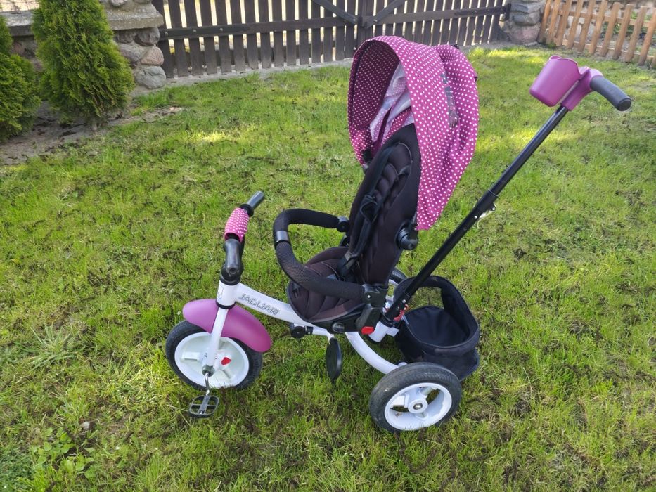 Rower trójkołowy Lorelli Jaguar. Rowerek dla dziecka