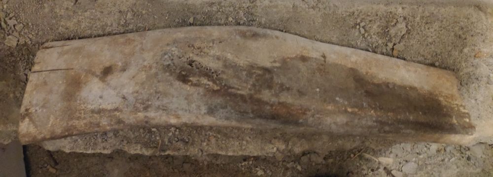 Osso de baleia antigo