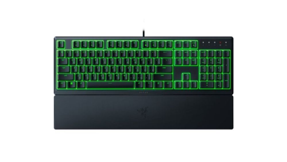 Razer oranta v3x