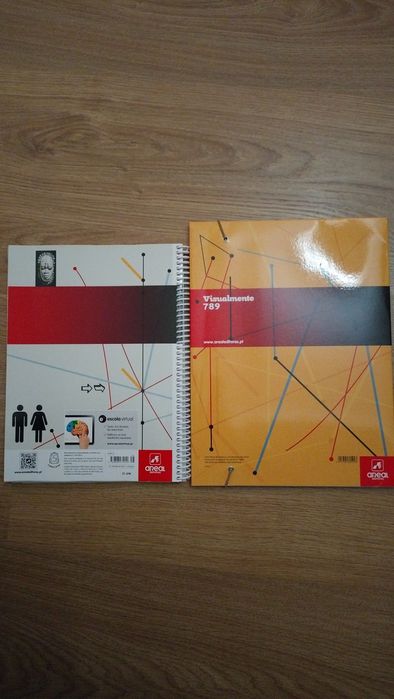 Manual+ Caderno de atividades- Educação Visual- 7,8,9 anos