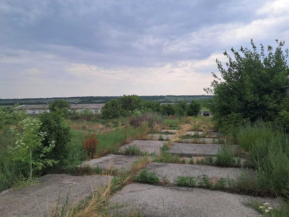 Комплекс птицефабрики/Солнечные батареи/Зернохранилище