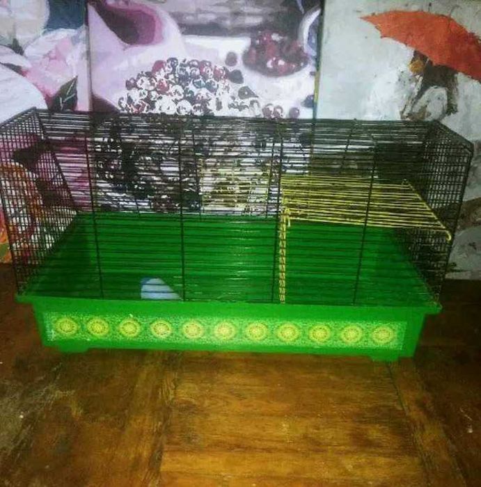 Клетка для морской свинки