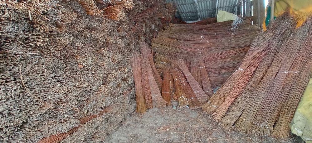 Wiklina sortowana sucha.